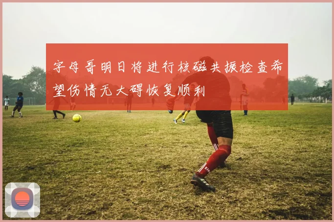 字母哥明日将进行核磁共振检查希望伤情无大碍恢复顺利